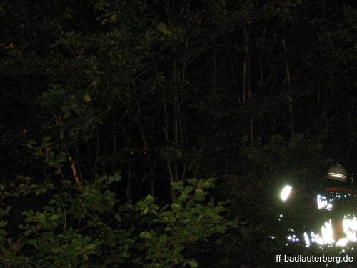 2011_06_02 Waldbrand Kummel Richtung Bismarkturm 03